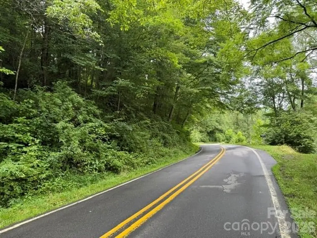 Tbd Meadow Fork Road Hot Springs NC 28743