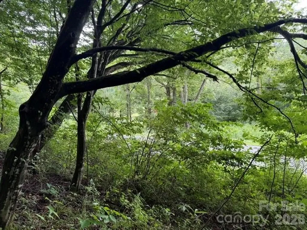 Tbd Meadow Fork Road Hot Springs NC 28743