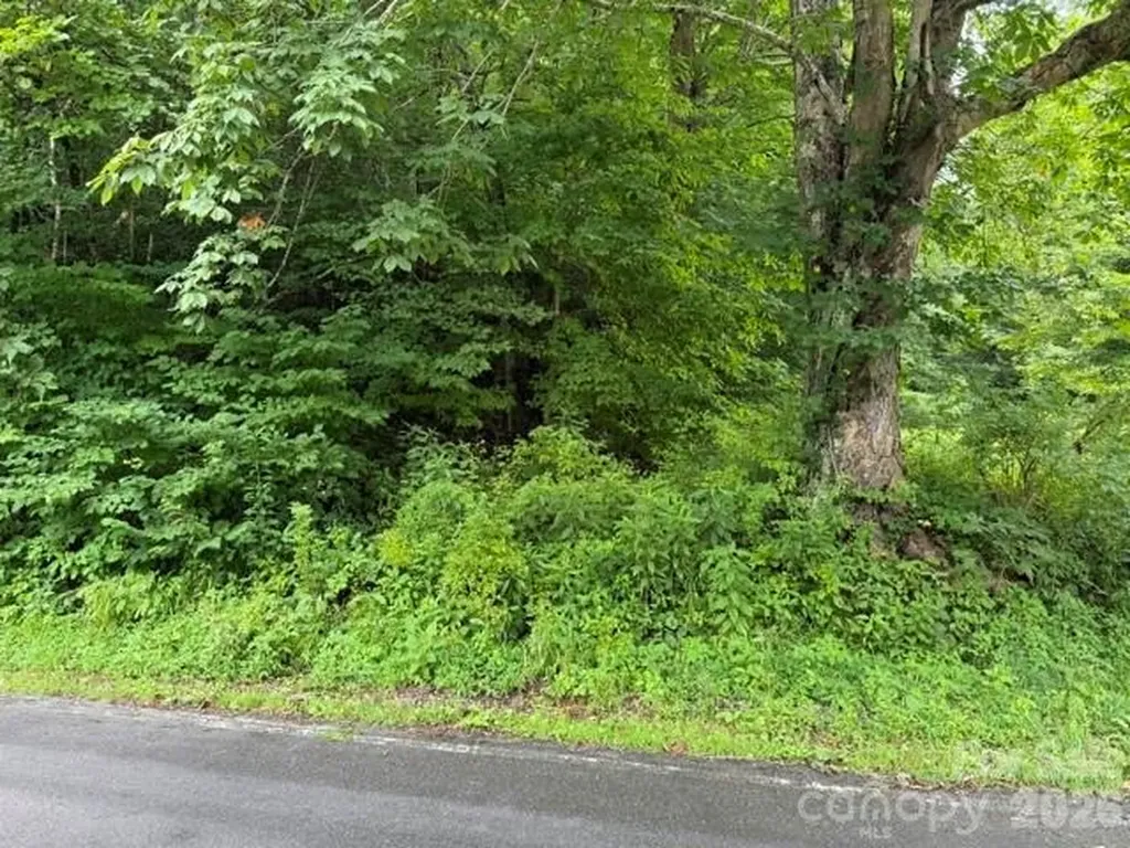 Tbd Meadow Fork Road Hot Springs NC 28743