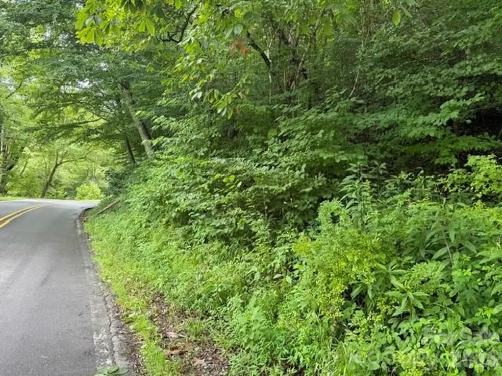 Tbd Meadow Fork Road Hot Springs NC 28743