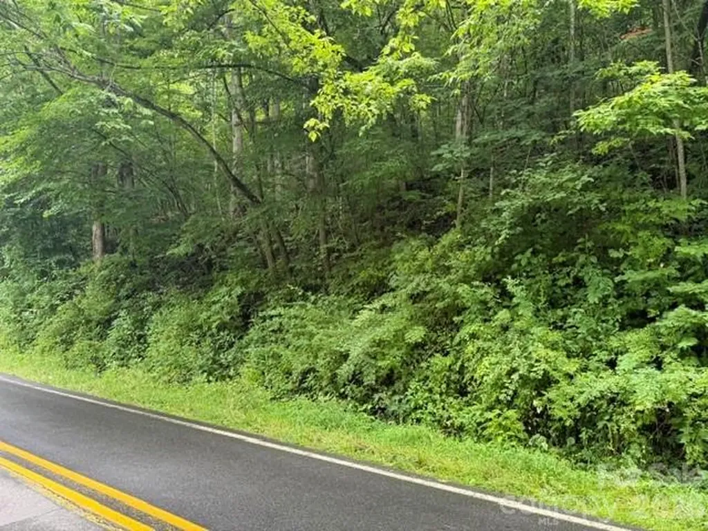 Tbd Meadow Fork Road Hot Springs NC 28743