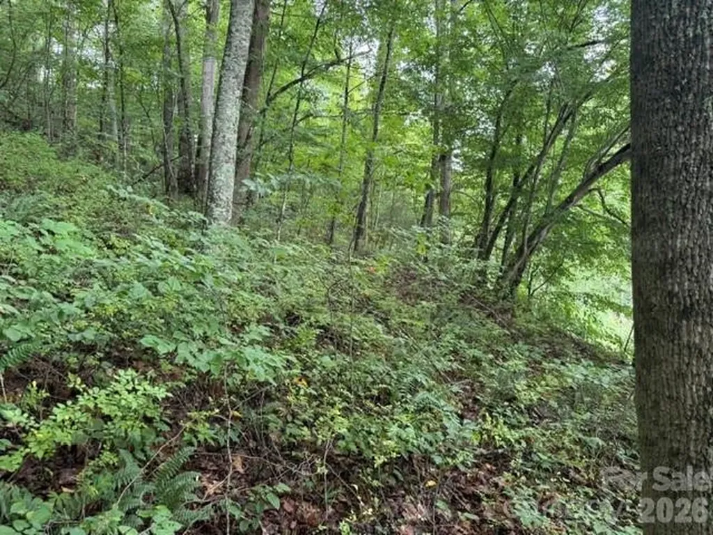 Tbd Meadow Fork Road Hot Springs NC 28743