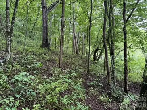 Tbd Meadow Fork Road Hot Springs NC 28743