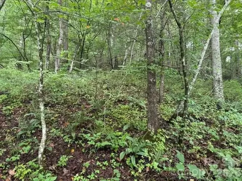 Tbd Meadow Fork Road Hot Springs NC 28743