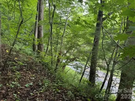 Tbd Meadow Fork Road Hot Springs NC 28743