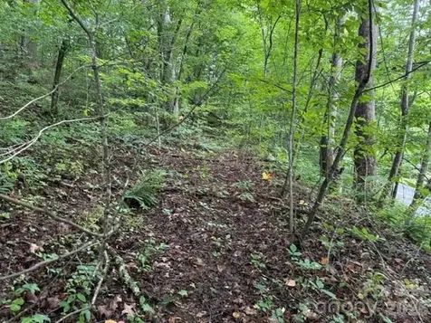 Tbd Meadow Fork Road Hot Springs NC 28743