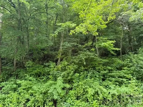 Tbd Meadow Fork Road Hot Springs NC 28743