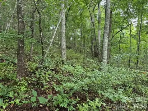 Tbd Meadow Fork Road Hot Springs NC 28743