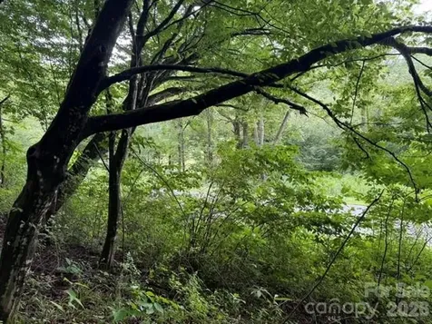 Tbd Meadow Fork Road Hot Springs NC 28743