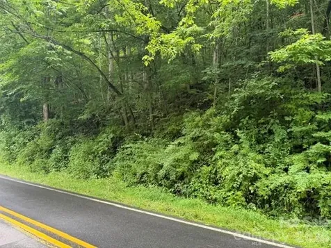 Tbd Meadow Fork Road Hot Springs NC 28743