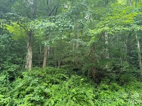 Tbd Meadow Fork Road Hot Springs NC 28743