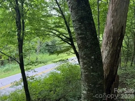 Tbd Meadow Fork Road Hot Springs NC 28743