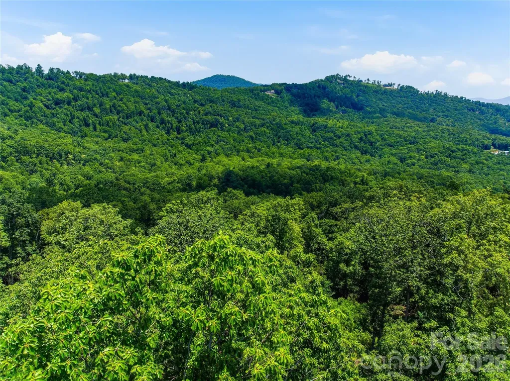58 Mountain Grove Lane Fletcher NC 28732