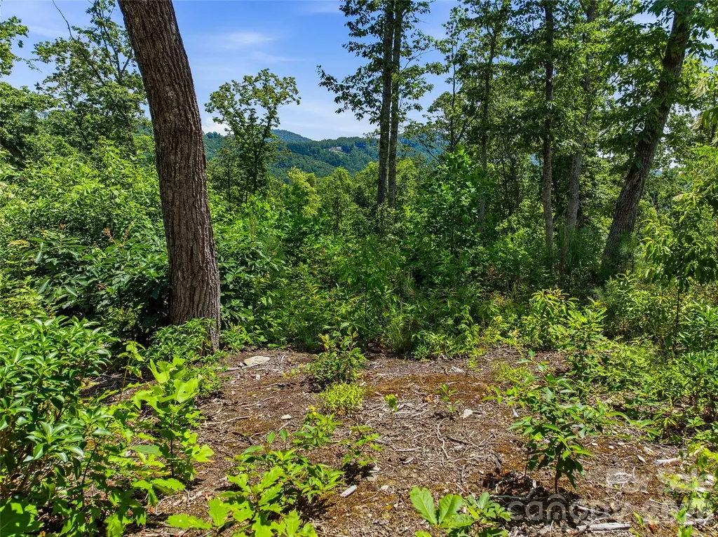 58 Mountain Grove Lane Fletcher NC 28732