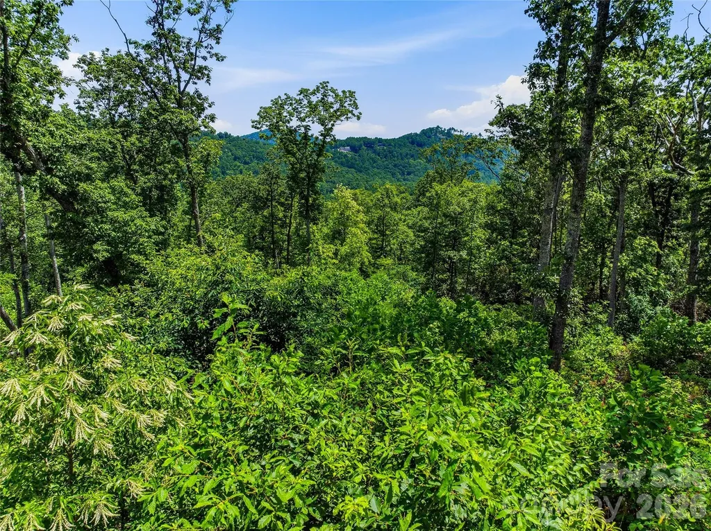58 Mountain Grove Lane Fletcher NC 28732