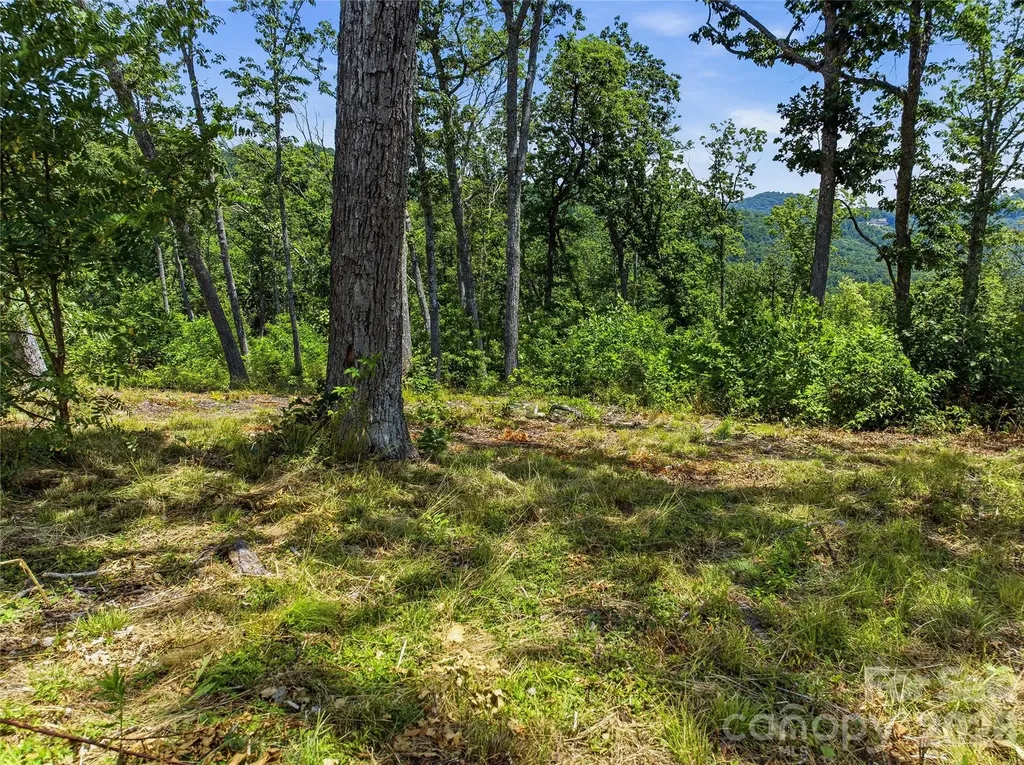 58 Mountain Grove Lane Fletcher NC 28732