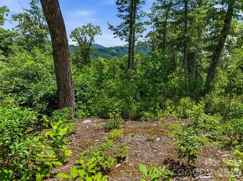 58 Mountain Grove Lane Fletcher NC 28732