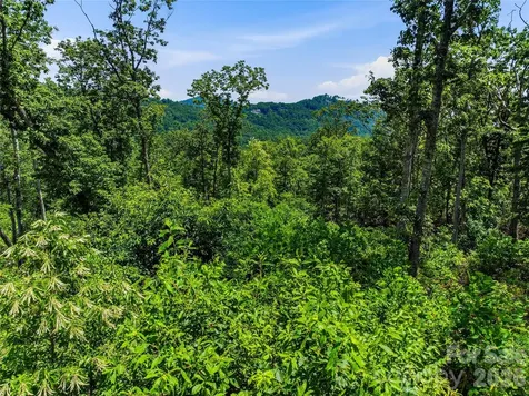 58 Mountain Grove Lane Fletcher NC 28732