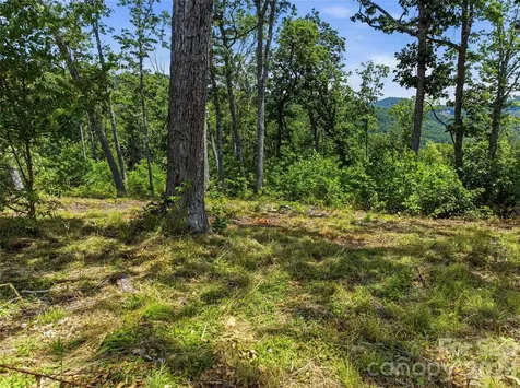 58 Mountain Grove Lane Fletcher NC 28732