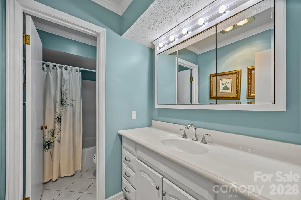 6773 & 6777 Pinnacle Mountain Road Zirconia NC 28790