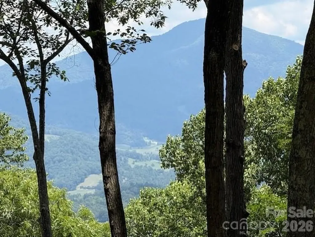 110 Cabin Ridge Waynesville NC 28785