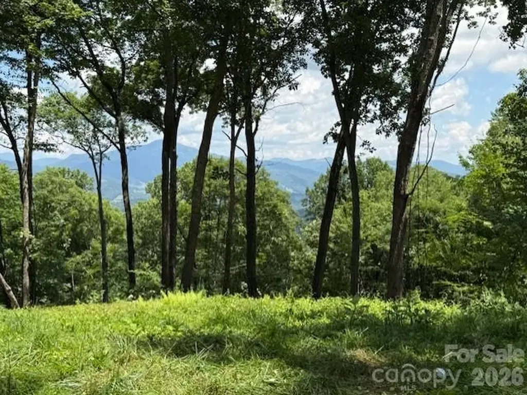 110 Cabin Ridge Waynesville NC 28785