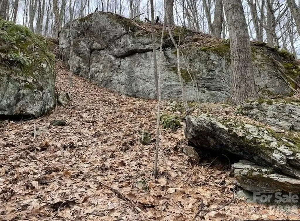 110 Cabin Ridge Waynesville NC 28785