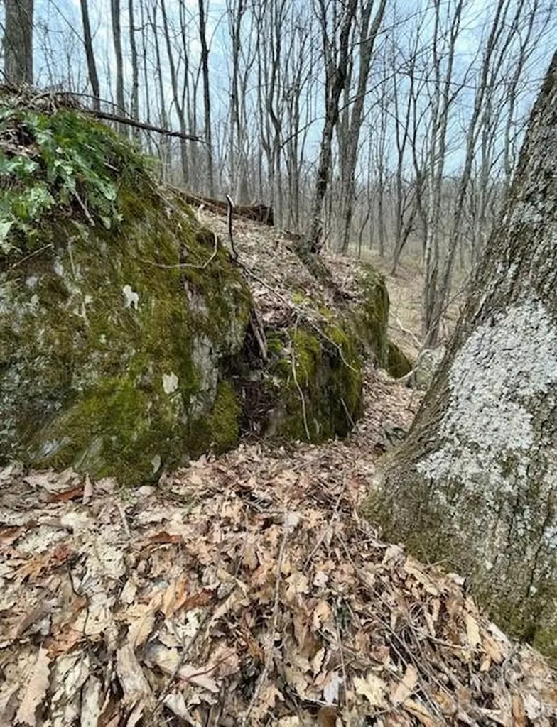 110 Cabin Ridge Waynesville NC 28785