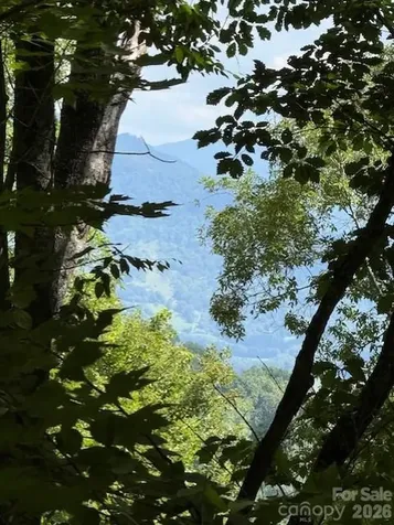 110 Cabin Ridge Waynesville NC 28785