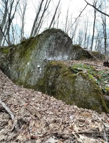 110 Cabin Ridge Waynesville NC 28785