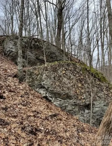 110 Cabin Ridge Waynesville NC 28785