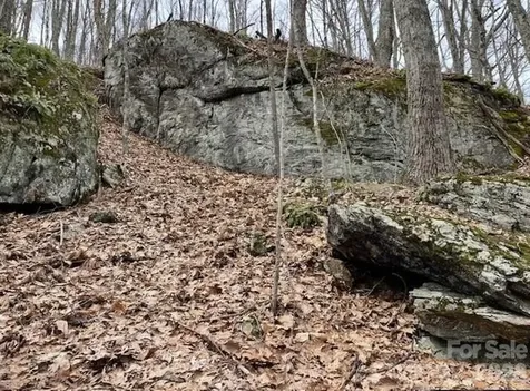 110 Cabin Ridge Waynesville NC 28785