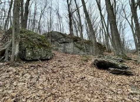 110 Cabin Ridge Waynesville NC 28785