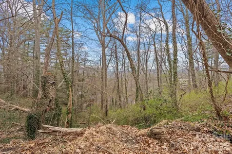 99999 Sunset Drive Asheville NC 28804