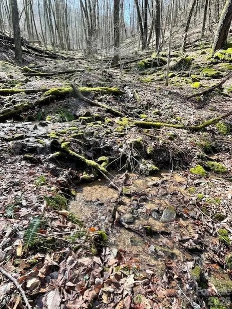 106 Avalon Gap Trail Waynesville NC 28785