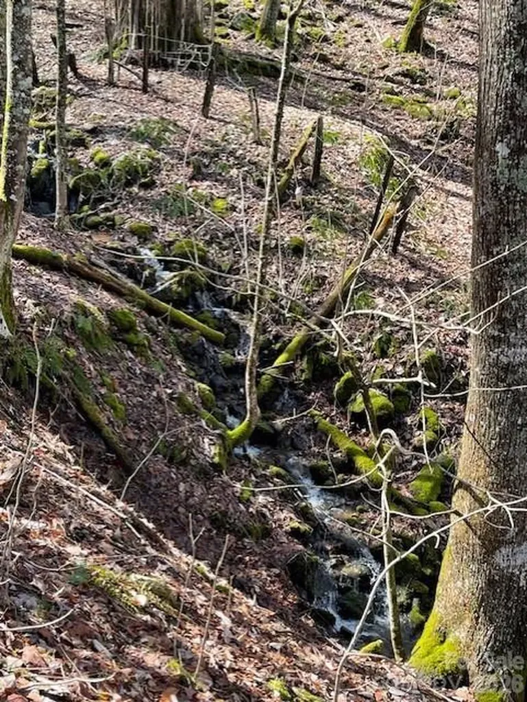 106 Avalon Gap Trail Waynesville NC 28785