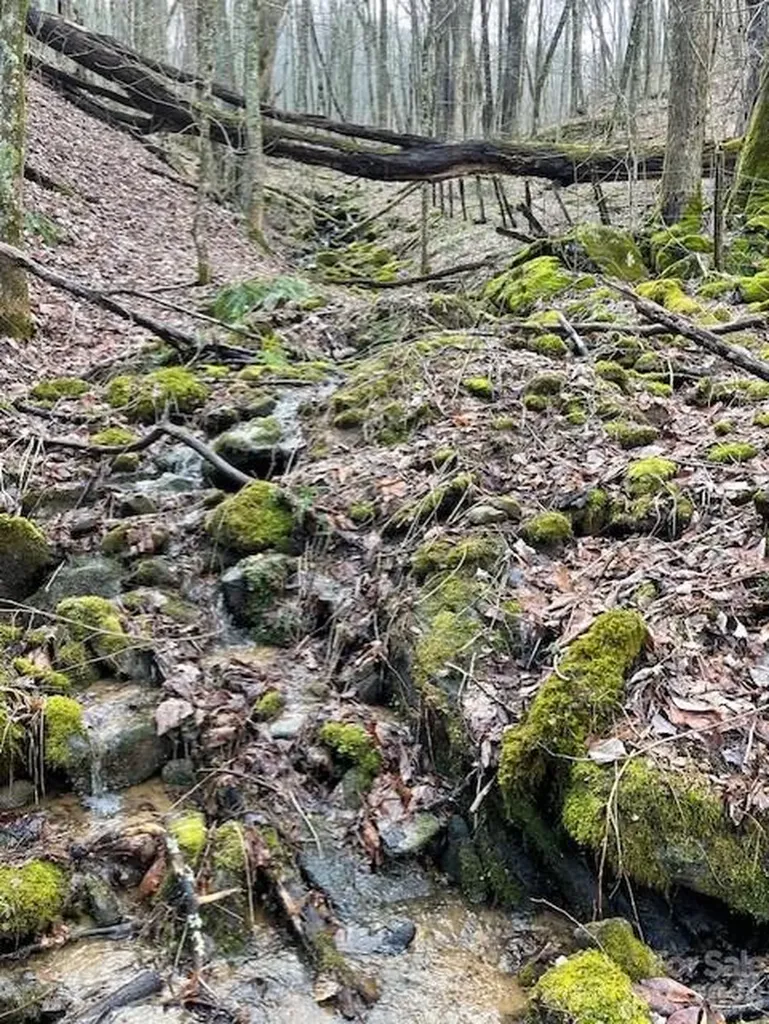 106 Avalon Gap Trail Waynesville NC 28785