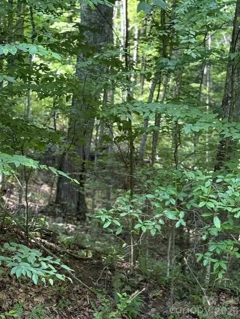 106 Avalon Gap Trail Waynesville NC 28785