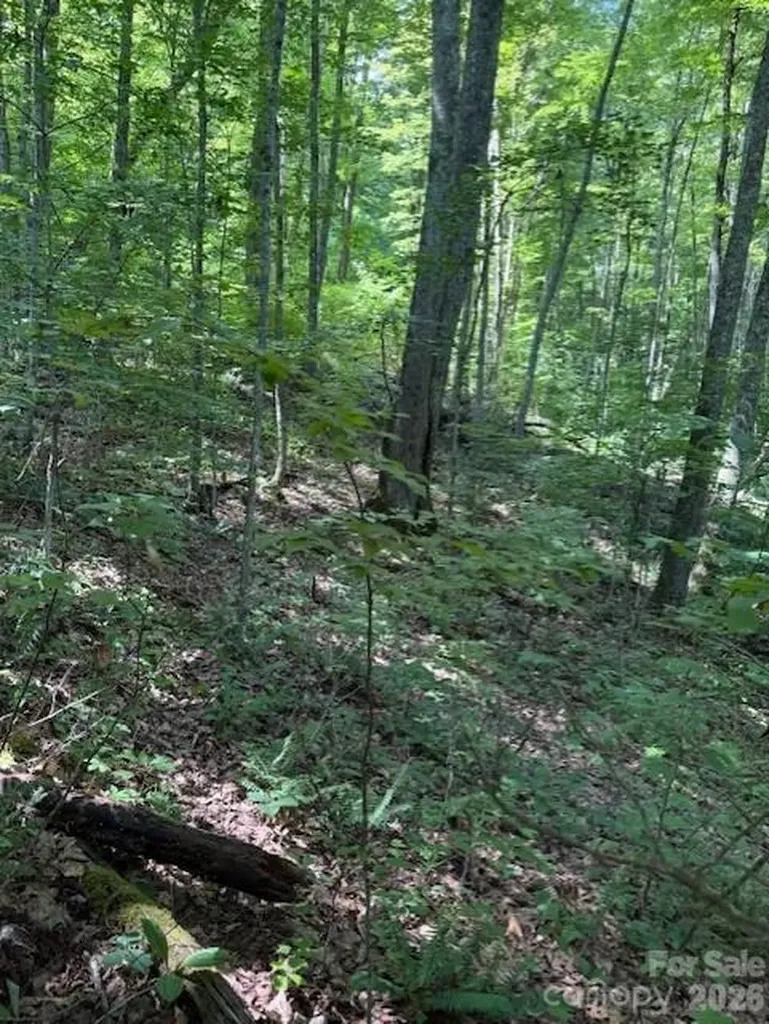 106 Avalon Gap Trail Waynesville NC 28785