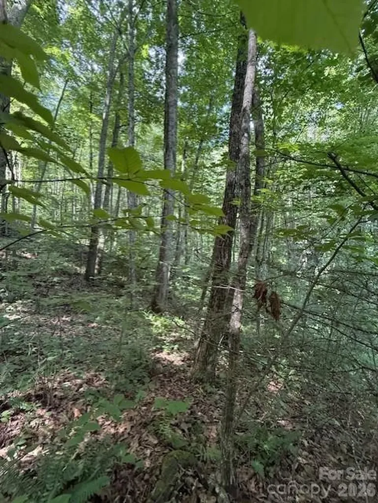 106 Avalon Gap Trail Waynesville NC 28785