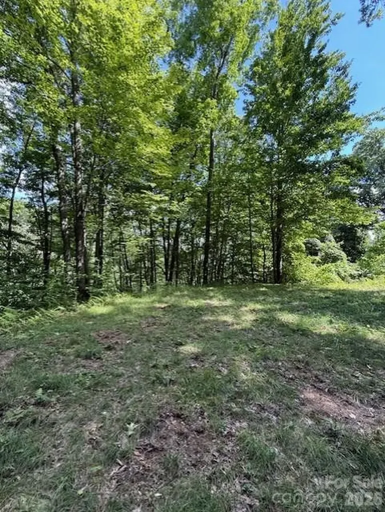 106 Avalon Gap Trail Waynesville NC 28785