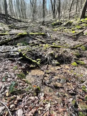 106 Avalon Gap Trail Waynesville NC 28785
