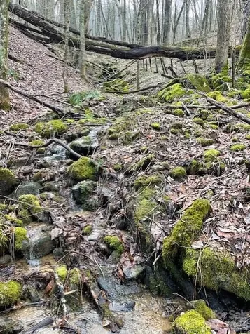 106 Avalon Gap Trail Waynesville NC 28785