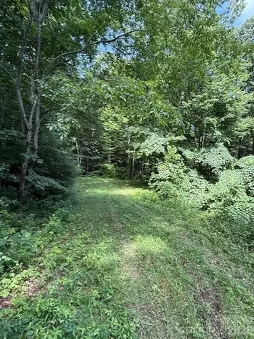 106 Avalon Gap Trail Waynesville NC 28785