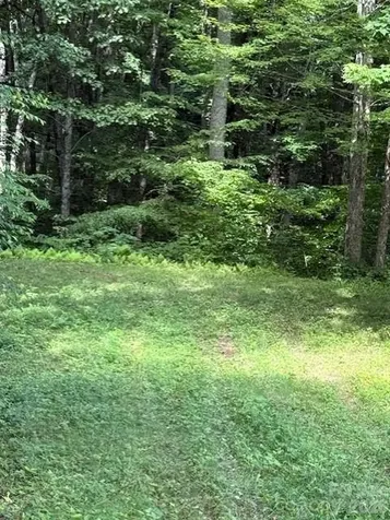 106 Avalon Gap Trail Waynesville NC 28785