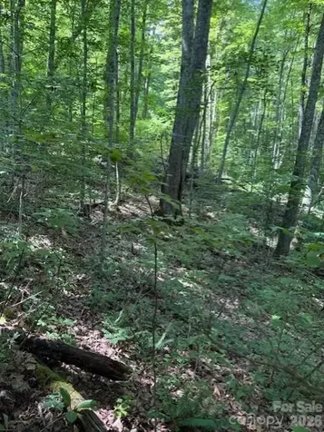 106 Avalon Gap Trail Waynesville NC 28785
