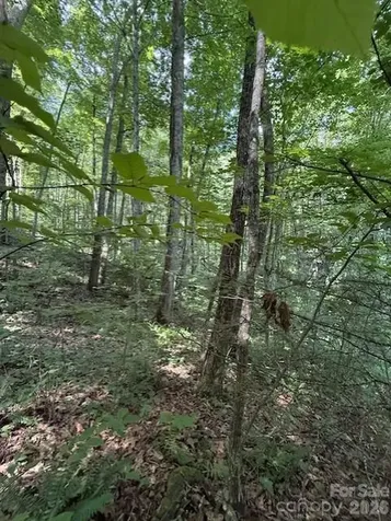 106 Avalon Gap Trail Waynesville NC 28785