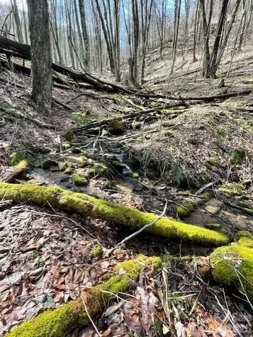 106 Avalon Gap Trail Waynesville NC 28785