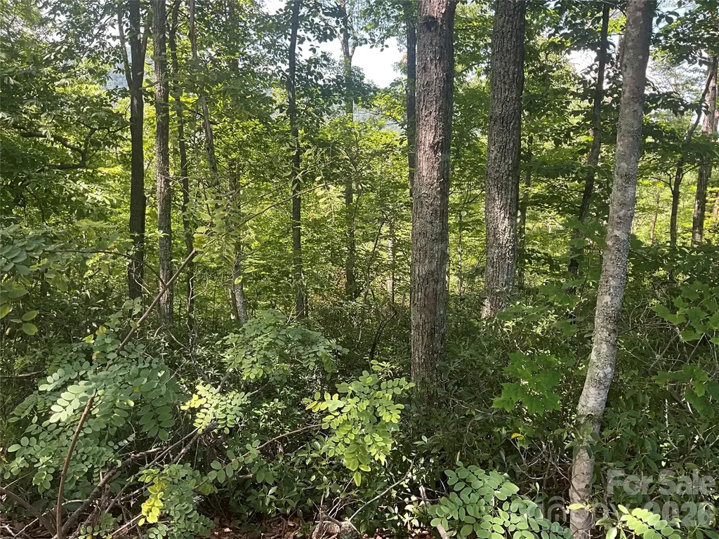 Lot 67 Treetops Lane Lake Lure NC 28746