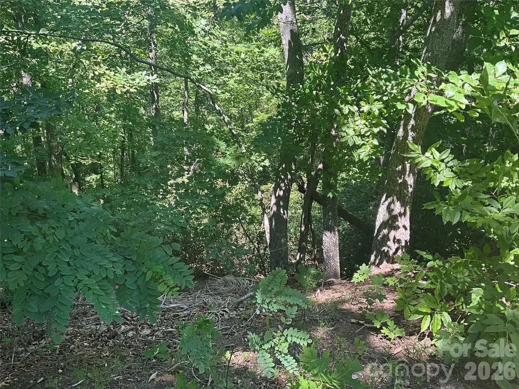 Lot 67 Treetops Lane Lake Lure NC 28746
